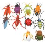 Animal Models : Insects