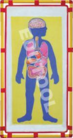 My Body