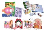 5 Senses Models
