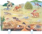 Desert Habitat
