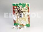 Lifecycle of a Spider
