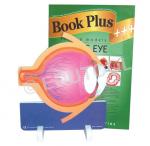 The Eye
