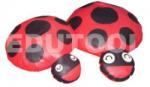 Edusoft Ladybug (Small)