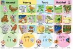 Animal Lifestyles