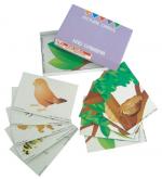 Picture Cards - Who Lives Here?