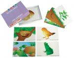 Picture Cards - Whose Home is in the Garden?