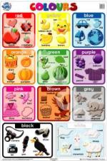 Wall Chart - Colours