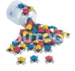 Plastic Insect Counters