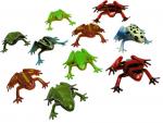 Animal Models : Amphibians