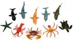 Animal Models : Aquatic Life