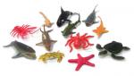 Animal Models : Aquatic Life