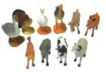 Animal Models : Domestic Animals