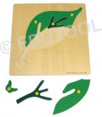 Wooden Botany Puzzle With Small Knobs - Leaf
