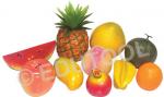 Fruit Models