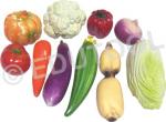 Vegetable Models