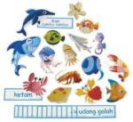 Ocean Animals