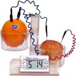 Fruit Clock