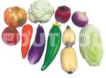 Vegetable Models