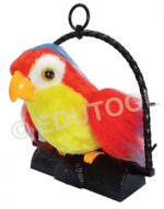 Question and answer Talking Bird
