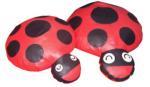 Edusoft Ladybug (Small)