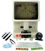 Videoscope